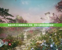 走進3DM《三國群英傳8》論壇，盡享三國策略與玩家盛宴！