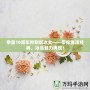 拳皇10周年特別版冰女——帶你重溫經(jīng)典，冰雪魅力再現(xiàn)！