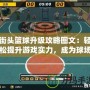 街頭籃球升級(jí)攻略圖文：輕松提升游戲?qū)嵙Γ蔀榍驁鲋酰?></div>
								<div   id=