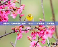 憤怒的小鳥(niǎo)2破解版下載2023最新——暢玩經(jīng)典，突破極限！