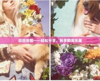 旺旺傳圖——輕松分享，暢享瞬間樂趣