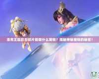 洛克王國巨石碎片能做什么寵物？揭秘神秘寵物的秘密！