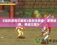 《街機游戲三國志2圣劍無敵版：重燃經典，再戰(zhàn)三國》