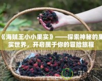 《海賊王小小果實》——探索神秘的果實世界，開啟屬于你的冒險旅程