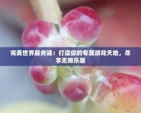 完美世界服務(wù)端：打造你的專屬游戲天地，盡享無(wú)限樂(lè)趣