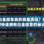 DNF白金徽章真的很難弄嗎？揭秘如何快速擁有白金徽章的秘訣！
