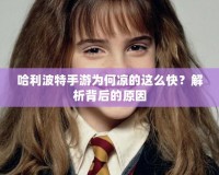 哈利波特手游為何涼的這么快？解析背后的原因