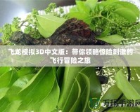 飛龍模擬3D中文版：帶你領略驚險刺激的飛行冒險之旅