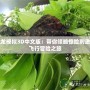 飛龍模擬3D中文版：帶你領略驚險刺激的飛行冒險之旅