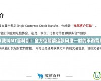 探索《我叫MT百科》：全方位解讀這款風靡一時的手游背后魅力