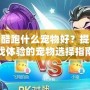 天天酷跑什么寵物好？提升游戲體驗的寵物選擇指南