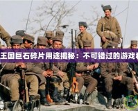 洛克王國(guó)巨石碎片用途揭秘：不可錯(cuò)過(guò)的游戲利器！
