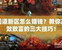 問道新區(qū)怎么賺錢？教你高效致富的三大技巧！