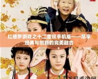 紅樓夢游戲之十二金釵手機版——盡享經典與創新的完美融合