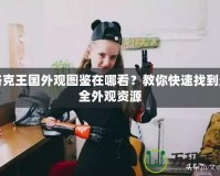 洛克王國(guó)外觀圖鑒在哪看？教你快速找到最全外觀資源