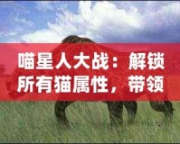 喵星人大戰(zhàn)：解鎖所有貓屬性，帶領(lǐng)貓咪軍團(tuán)制霸宇宙！