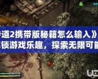 《侍道2攜帶版秘籍怎么輸入》——解鎖游戲樂趣，探索無限可能！