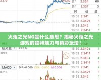 火炬之光NG是什么意思？揭秘火炬之光游戲的獨(dú)特魅力與精彩玩法！