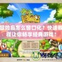 冒險島怎么窗口化？快速教程讓你暢享經典游戲！