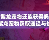 DNF紫龍寵物還能獲得嗎？探秘紫龍寵物獲取途徑與價值