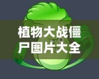 植物大戰(zhàn)僵尸圖片大全簡筆畫植物圖鑒，讓你輕松掌握所有植物與僵尸！