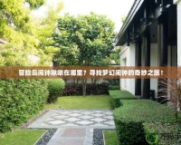 冒險島鬧鐘啾啾在哪里？尋找夢幻鬧鐘的奇妙之旅！