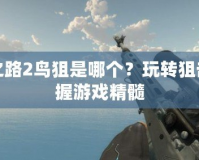 求生之路2鳥狙是哪個？玩轉狙擊，掌握游戲精髓