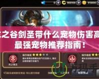 龍之谷劍圣帶什么寵物傷害高？最強寵物推薦指南！