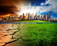 固拉多大地之力：解鎖自然的無窮潛力，打造未來的綠色世界