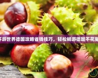 暖暖環游世界德國攻略省錢技巧，輕松暢游德國不花冤枉錢！