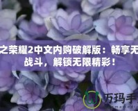 血之榮耀2中文內購破解版：暢享無盡戰斗，解鎖無限精彩！