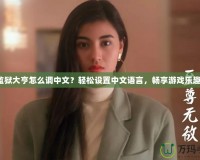 監獄大亨怎么調中文？輕松設置中文語言，暢享游戲樂趣！