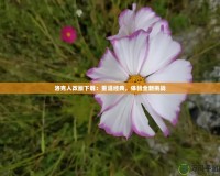 洛克人改版下載：重溫經典，體驗全新挑戰