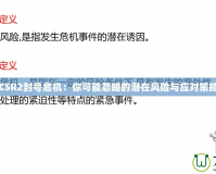 CSR2封號危機：你可能忽略的潛在風險與應對策略