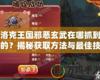 洛克王國邪惡玄武在哪抓到的？揭秘獲取方法與最佳技巧！
