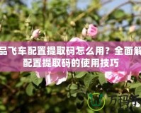 極品飛車配置提取碼怎么用？全面解讀配置提取碼的使用技巧