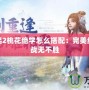 神雕俠侶2桃花絕學(xué)怎么搭配：完美組合讓你戰(zhàn)無不勝