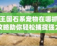 洛克王國石系寵物在哪抓？全面攻略助你輕松捕捉強力伙伴