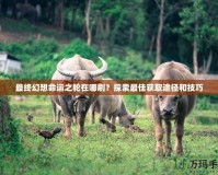 最終幻想命運之輪在哪刷？探索最佳獲取途徑和技巧