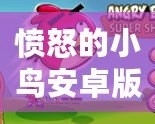 憤怒的小鳥安卓版在哪下載？暢享經典游戲，隨時隨地釋放壓力！