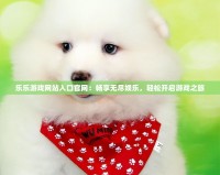 樂樂游戲網站入口官網：暢享無盡娛樂，輕松開啟游戲之旅