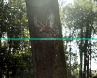 免費(fèi)3D網(wǎng)絡(luò)游戲軟件——開啟無限冒險的奇妙之旅