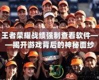 王者榮耀戰績強制查看軟件——揭開游戲背后的神秘面紗