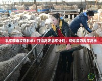 乳牛物語攻略懷孕：打造高效養(yǎng)牛計劃，助你成為養(yǎng)牛高手
