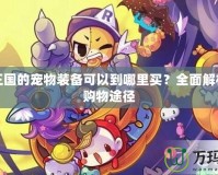 洛克王國的寵物裝備可以到哪里買？全面解析最全購物途徑