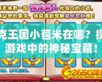 洛克王國(guó)小苞米在哪？探秘游戲中的神秘寶藏！