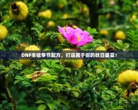 DNF豐收季節配方，打造屬于你的秋日盛宴！