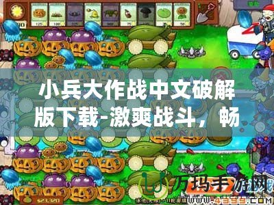 小兵大作戰中文破解版下載-激爽戰斗，暢享無限樂趣！