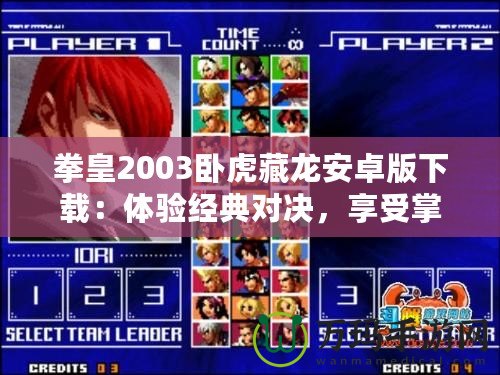 拳皇2003臥虎藏龍安卓版下載：體驗經典對決，享受掌中格斗激情
