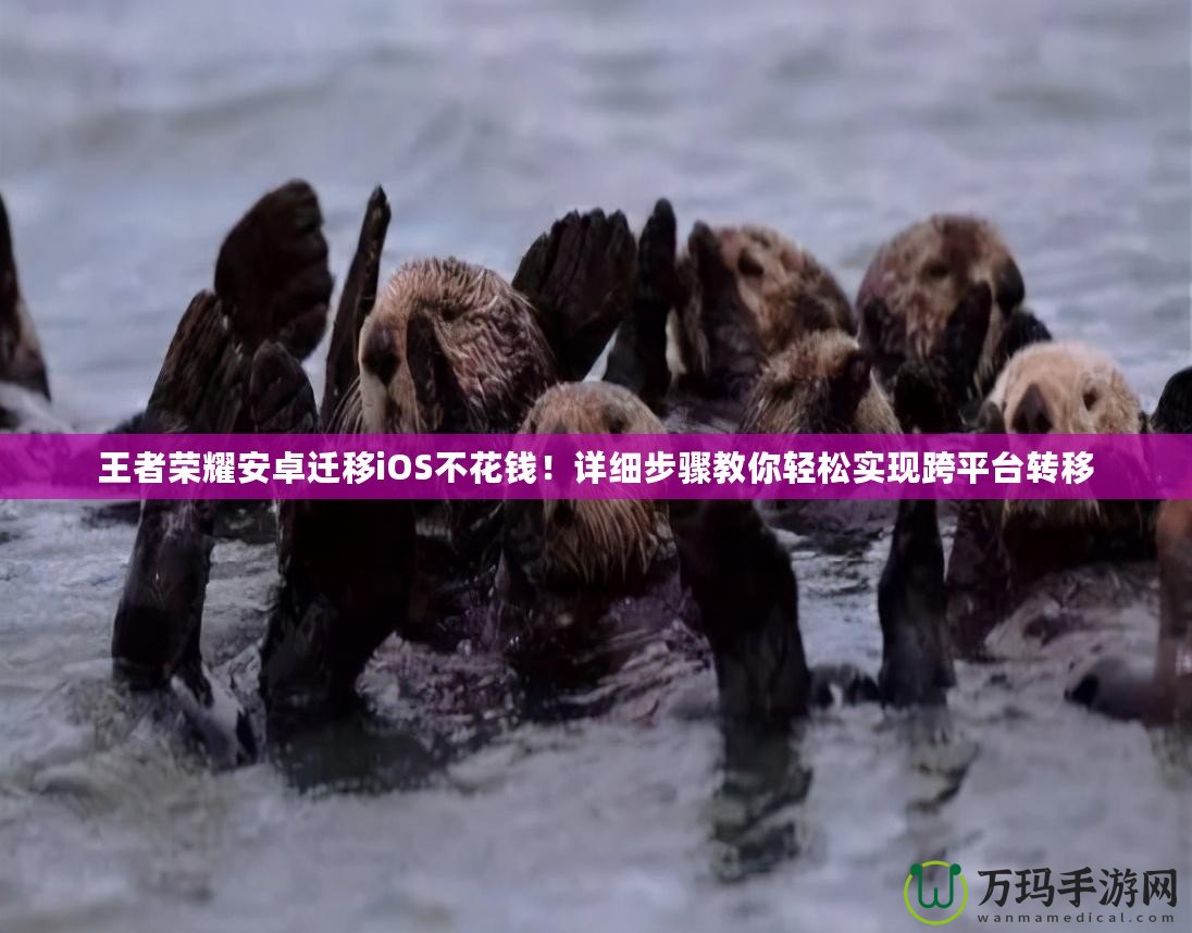 王者榮耀安卓遷移iOS不花錢！詳細步驟教你輕松實現(xiàn)跨平臺轉(zhuǎn)移